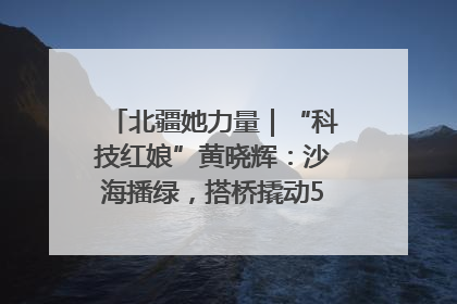 北疆她力量｜“科技红娘”黄晓辉：沙海播绿，搭桥撬动5.3亿研发