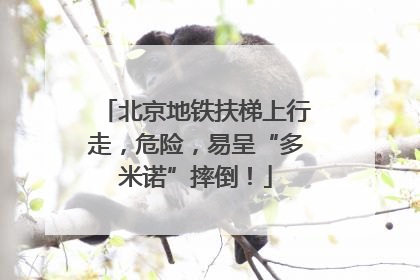 北京地铁扶梯上行走,危险,易呈“多米诺”摔倒!