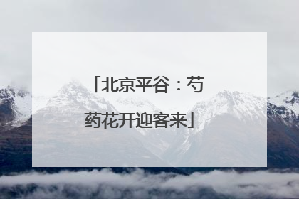 北京平谷：芍药花开迎客来