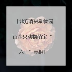 北方森林动物园百余只动物萌宝“六一”亮相