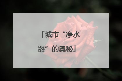 城市“净水器”的奥秘