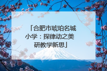 合肥市琥珀名城小学：探律动之美 研教学新思