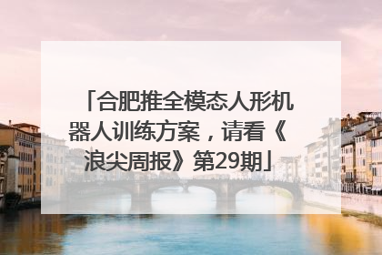 合肥推全模态人形机器人训练方案，请看《浪尖周报》第29期