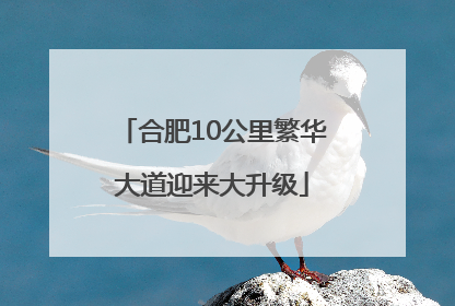 合肥10公里繁华大道迎来大升级