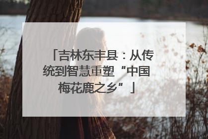 吉林东丰县：从传统到智慧重塑“中国梅花鹿之乡”