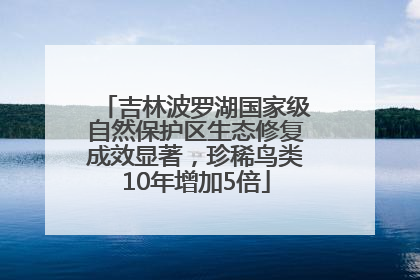 吉林波罗湖国家级自然保护区生态修复成效显著，珍稀鸟类10年增加5倍