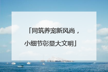 同筑养宠新风尚，小细节彰显大文明