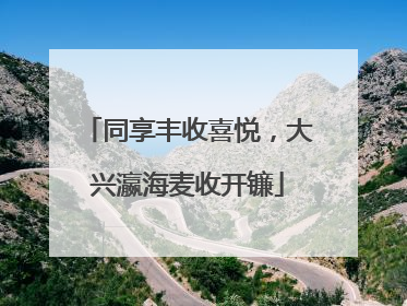 同享丰收喜悦，大兴瀛海麦收开镰