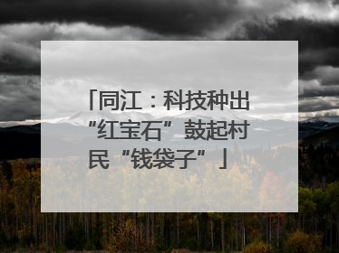 同江：科技种出“红宝石”鼓起村民“钱袋子”