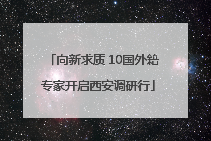 向新求质 10国外籍专家开启西安调研行
