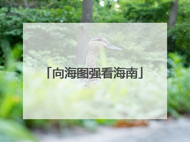 向海图强看海南