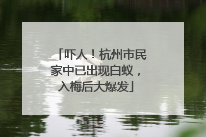 吓人！杭州市民家中已出现白蚁，入梅后大爆发