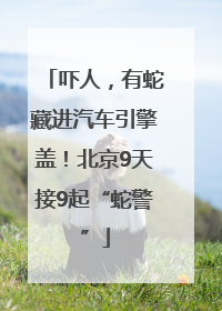 吓人，有蛇藏进汽车引擎盖！北京9天接9起“蛇警”