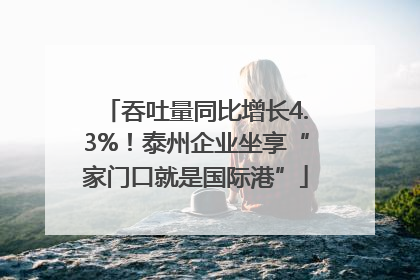 吞吐量同比增长4.3%！泰州企业坐享“家门口就是国际港”