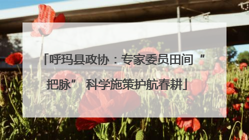 呼玛县政协：专家委员田间“把脉” 科学施策护航春耕
