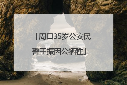 周口35岁公安民警王振因公牺牲