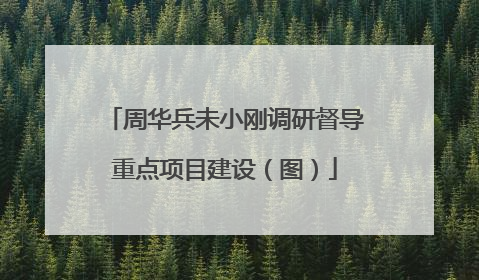 周华兵未小刚调研督导重点项目建设（图）