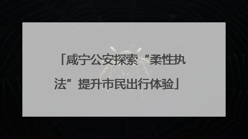 咸宁公安探索“柔性执法”提升市民出行体验