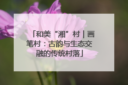 和美“湘”村｜画笔村：古韵与生态交融的传统村落