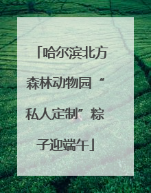 哈尔滨北方森林动物园“私人定制”粽子迎端午