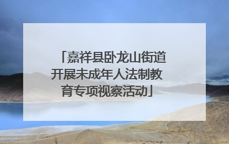 嘉祥县卧龙山街道开展未成年人法制教育专项视察活动