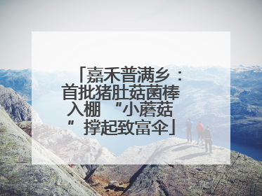 嘉禾普满乡：首批猪肚菇菌棒入棚 “小蘑菇”撑起致富伞