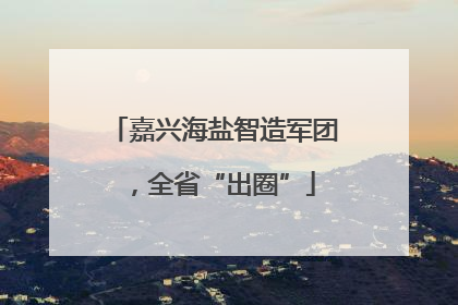 嘉兴海盐智造军团，全省“出圈”