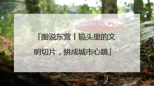 图说东营丨镜头里的文明切片，拼成城市心跳
