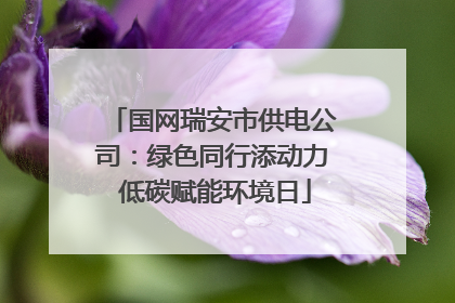 国网瑞安市供电公司：绿色同行添动力 低碳赋能环境日