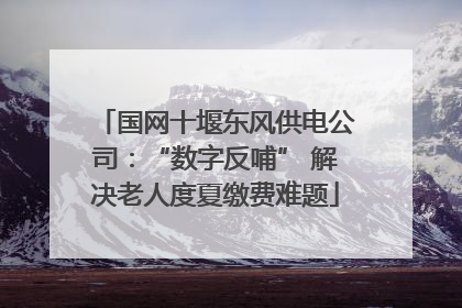 国网十堰东风供电公司：“数字反哺” 解决老人度夏缴费难题