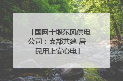 国网十堰东风供电公司：支部共建 居民用上安心电