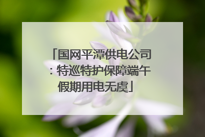 国网平潭供电公司：特巡特护保障端午假期用电无虞