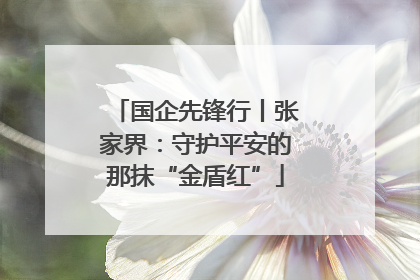国企先锋行丨张家界：守护平安的那抹“金盾红”