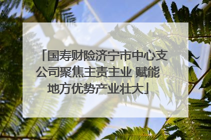 国寿财险济宁市中心支公司聚焦主责主业 赋能地方优势产业壮大