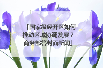 国家级经开区如何推动区域协调发展？商务部答封面新闻