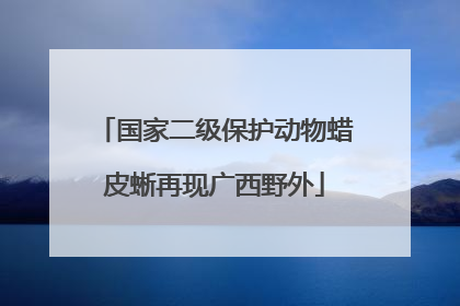 国家二级保护动物蜡皮蜥再现广西野外