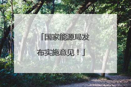 国家能源局发布实施意见！