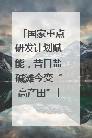 国家重点研发计划赋能，昔日盐碱滩今变“高产田”