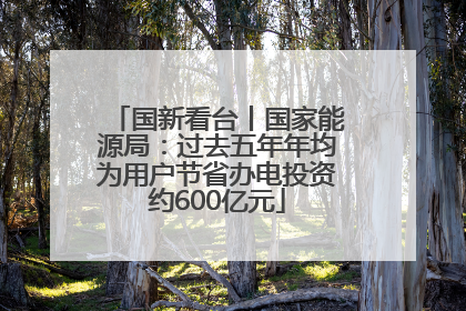 国新看台丨国家能源局：过去五年年均为用户节省办电投资约600亿元
