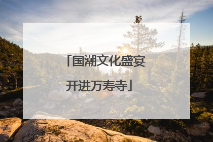 国潮文化盛宴开进万寿寺
