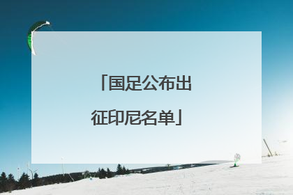 国足公布出征印尼名单