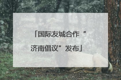 国际友城合作“济南倡议”发布
