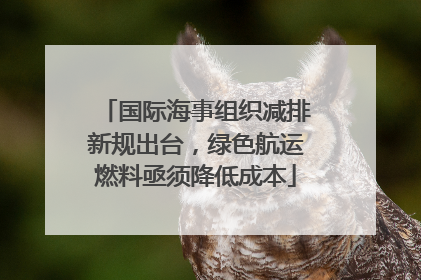 国际海事组织减排新规出台，绿色航运燃料亟须降低成本