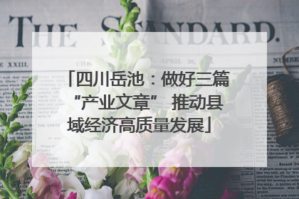 四川岳池：做好三篇“产业文章” 推动县域经济高质量发展