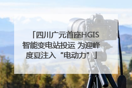 四川广元首座HGIS智能变电站投运 为迎峰度夏注入“电动力”