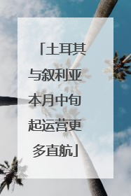土耳其与叙利亚本月中旬起运营更多直航