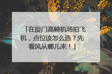 在厦门高崎机场拍飞机，点位该怎么选？先看风从哪儿来！