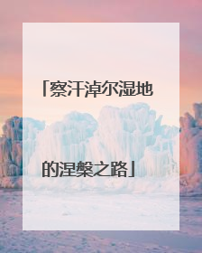 察汗淖尔湿地的涅槃之路