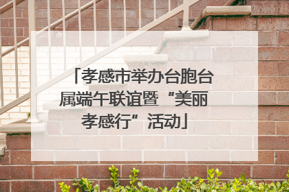 孝感市举办台胞台属端午联谊暨“美丽孝感行”活动