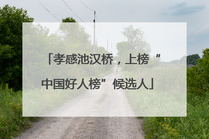 孝感池汉桥，上榜“中国好人榜”候选人